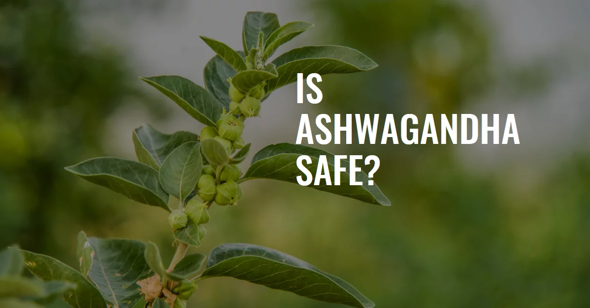 Is Ashwagandha Safe